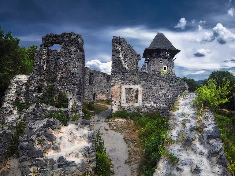 Невицький замок